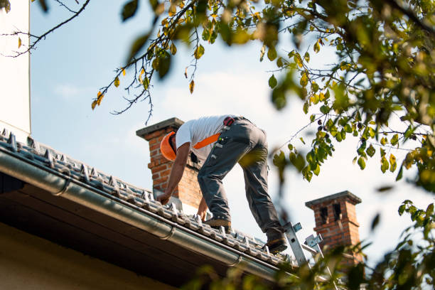 Best Local Roofing Companies  in Waymart, PA